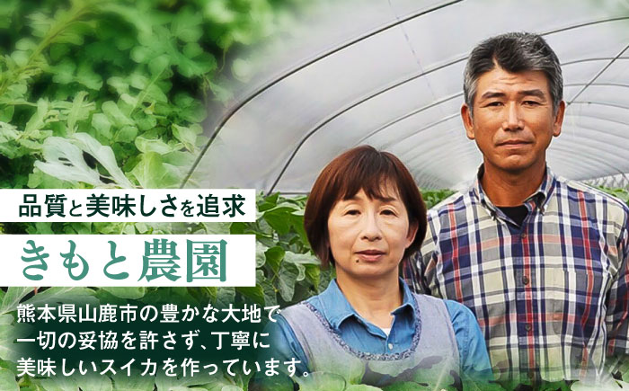 【先行予約】 ＼TVで話題／ ムーンフラッシュ 黄色 スイカ 大玉 1玉 約 8kg すいか 西瓜 熊本県産 産地直送 農家直送 熊本 くまもと 山鹿 【きもと農園】[ZFQ005]
