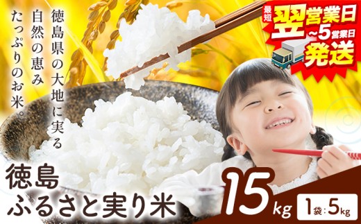 ＼1~5営業日以内に発送／ もちもち美味しい！ 徳島ふるさと実り米 精米 15kg 徳島県 上板町 お米 米 白米