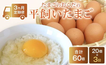 【たまご 定期便3回】平飼いたまご (20個 ×3) ＼ 自然由来飼料 ／