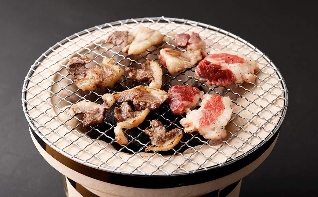 国産 馬ヒモ 300g×2パック 計600g 焼肉用 馬肉 あばら肉