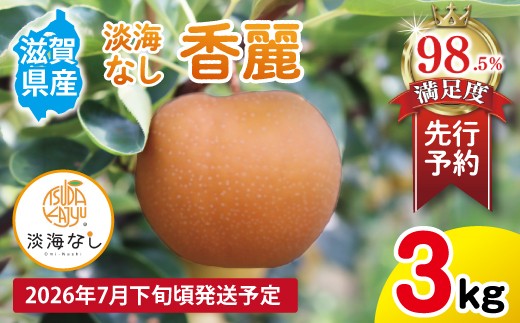 【先行予約】 数量限定 淡海なし 香麗 3kg 箱入り（サイズ：