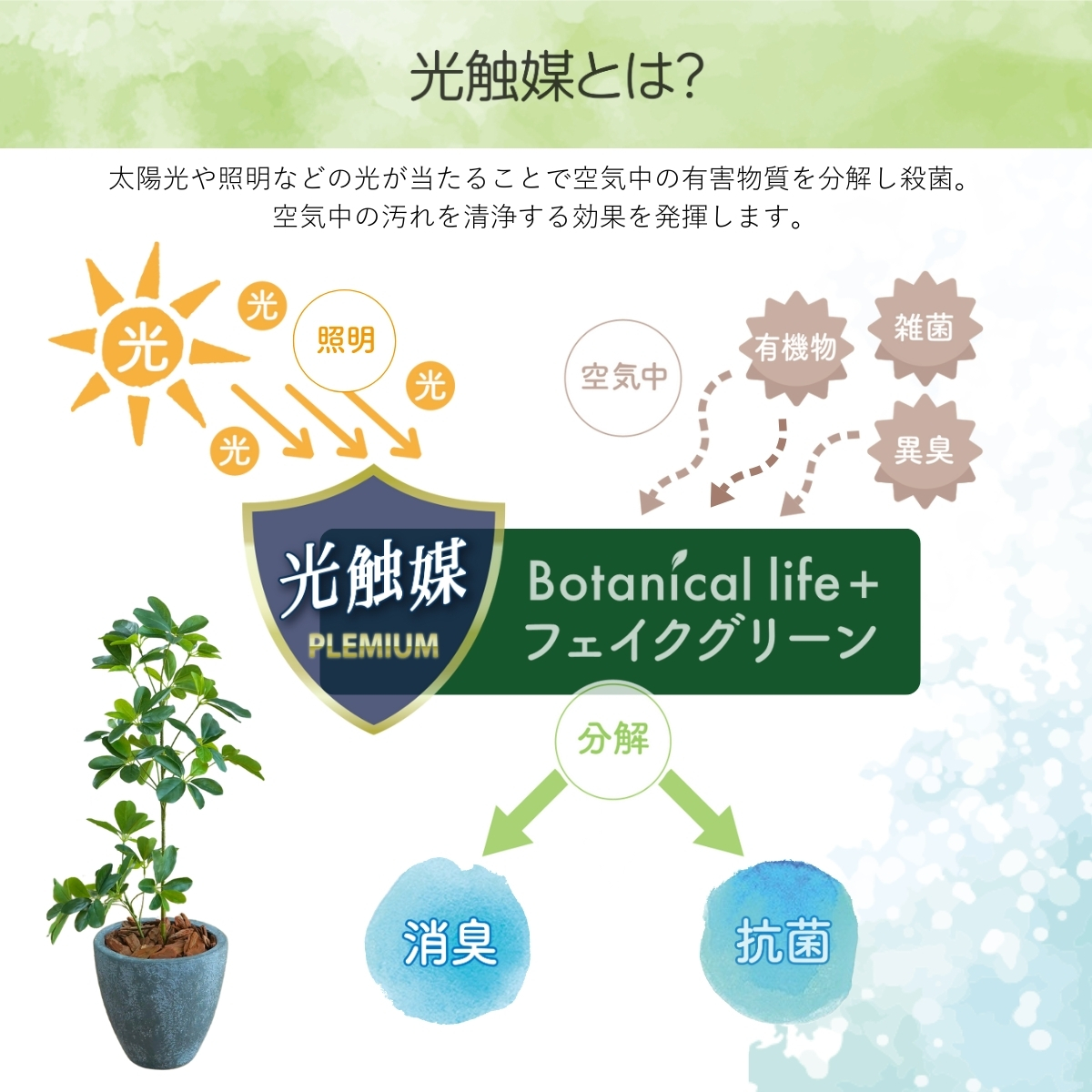 フェイクグリーン Botanical life+ Dシリーズ シェフレラ 65cm 光触媒加工 鉢付き （鉢： 石造り風 ライトストーン） インテリア 抗菌 消臭 愛知県 豊橋市 送料無料 41000