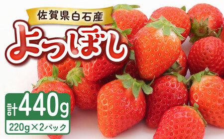 【2026年発送分 先行予約】よつぼし（220g×2パック） / 佐賀県 いちご 苺 いちご / 岸川農園 [41ASAG038]