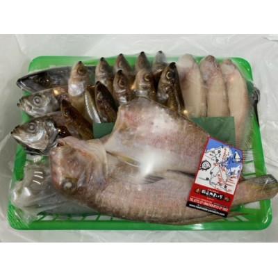 ふるさと納税 宮津市 海の京都 橋立やまいちの干物セット 贈答用 E[ 一夜干し ギフト ] |  | 01