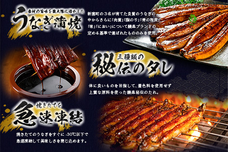 ＜父の日＞国産うなぎ蒲焼 3尾 計480g以上【C444-FD】