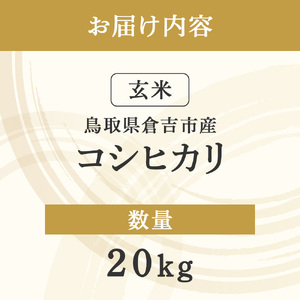 コシヒカリ 玄米 20kg 令和7年産 新米