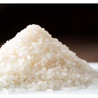 ふるさと納税 新城市 愛知県:新城市作手産【佐宗米ミネアサヒ】10kg (5kg×2袋) |  | 03