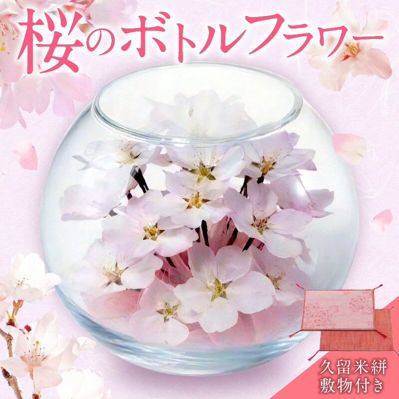 【ふるさと納税】ドライフラワー 桜 ボトルフラワー ソメイヨシノ 満開の桜のようにデザイン 久留米絣 敷物 ガラス容器 おしゃれ 花 インテリア 生花 ドライ加工 入学祝 卒業祝 合格祝 就職祝 旅立ち お祝い 記念 ギフト 贈り物 送料無料