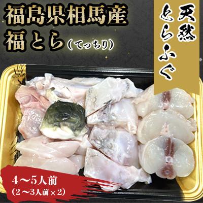 ふるさと納税 相馬市 【常磐もの新名物!福とら】 天然とらふぐ てっちり 鍋 4-5人前 約800g ふぐちり