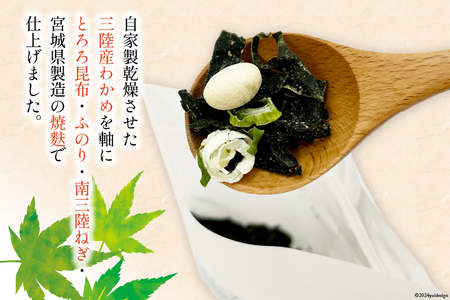 気仙沼 岩井崎の塩 スープ 40g×2袋（約16杯分） 