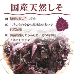 【1125-2】しそ漬け梅干（紀州南高梅）1.6kg 大粒 3L以上 和歌山県産