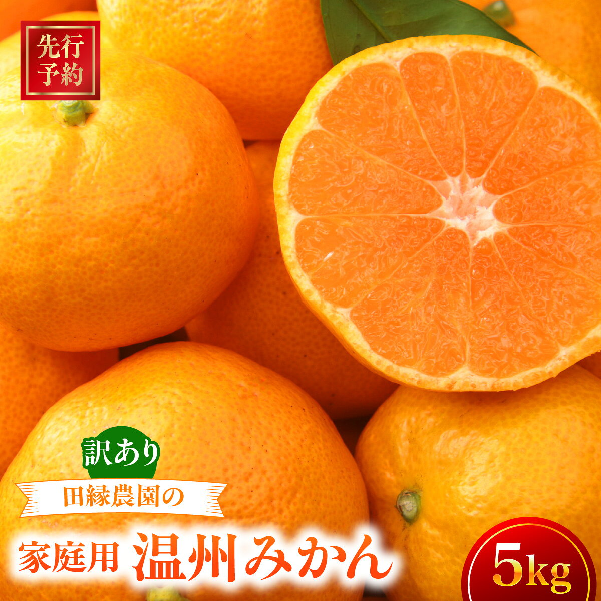 【ふるさと納税】【先行予約】【家庭用】温州みかん 5kg ※離島への配送不可 （2026年11月10日より順次発送）【ふるさと納税 人気 おすすめ ランキング みかん ミカン 蜜柑 温州みかん 温州ミカン フルーツ 果物 愛媛県産 田縁農園 愛媛県 伊方町 送料無料】 IKTA039
