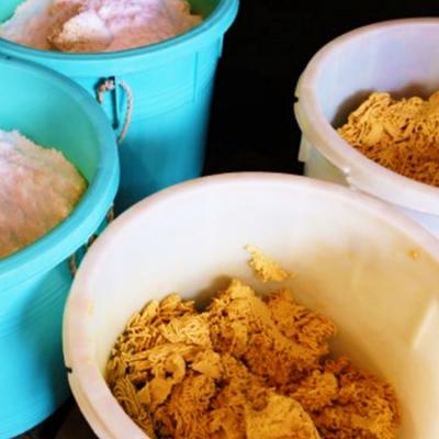 ふるさと納税 小郡市 無添加 味噌 たるみ農園の天然醸造仕込み 米味噌 850g×2[No5354-0291] |  | 03