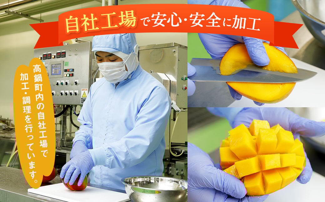 ＜宮崎県産マンゴーゼリー48個＞翌月末迄に順次出荷