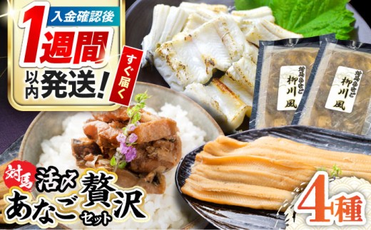【1週間以内発送】対馬産 あなご 贅沢 セット 《対馬市》【対馬地域商社】九州 長崎 煮あなご 佃煮 アナゴ [WAC002]冷凍 新鮮 あなご 穴子 柳川風 下処理 寿司 あなご重 天ぷら おかず もう1品 おつまみ おにぎり ちらし寿司 海鮮 魚介 長崎 対馬 スピード発送 最速発送 最短発送