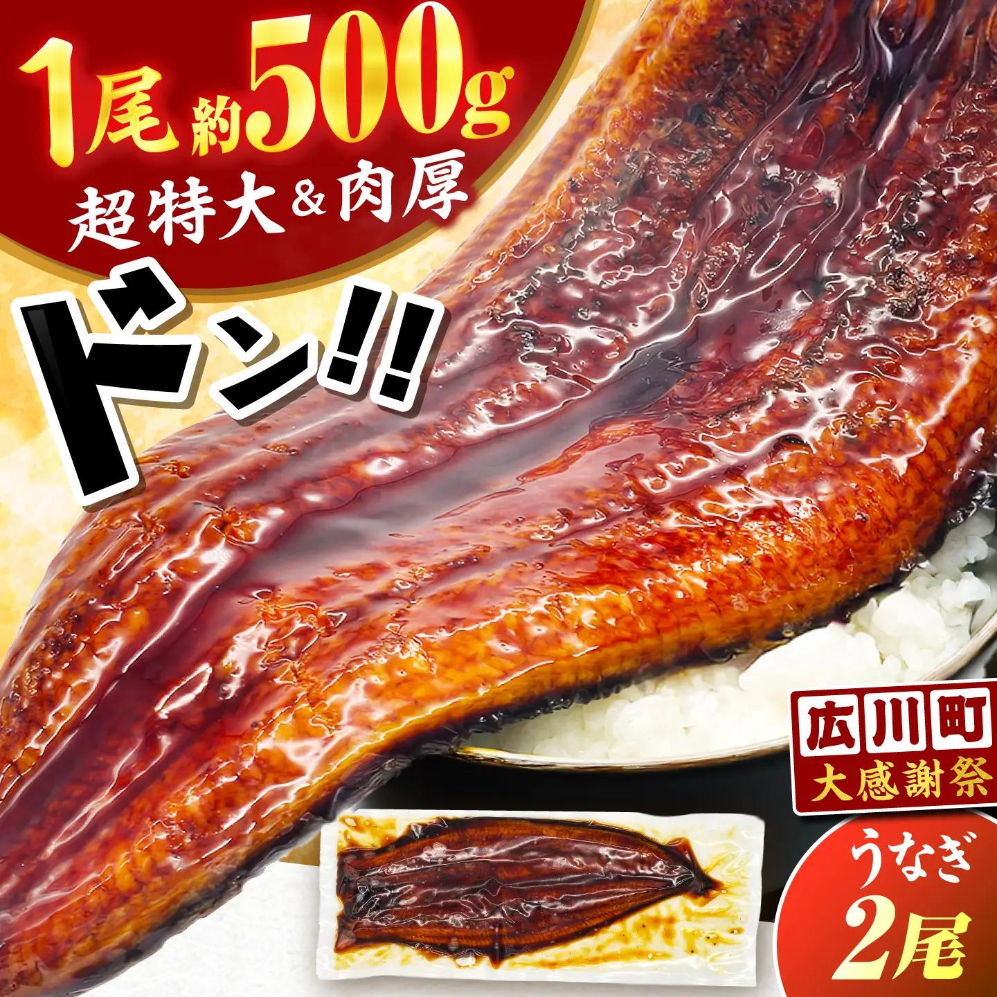 【新登場】 うなぎの蒲焼 2尾(1尾約500g) うなぎの蒲焼 [AFBS032-CP]