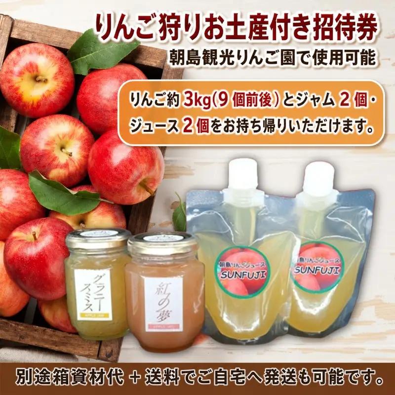 【先行予約】りんご狩り 体験 招待券 お土産付 りんご3kg ジャム200g×2 ジュース190ml×2 朝島観光りんご園 asashima009 体験