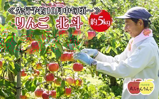 
            家庭用 りんご 北斗 約5㎏ ≪先行予約10月中旬頃～順次発送≫
          