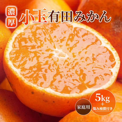 ［先行予約］家庭用 小さな有田みかん5kg+250g（傷み補償分）［2026年10月初旬から2027年1月末日頃順次発送予定］［IKE245］
