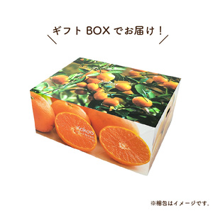 【先行予約】 瀬戸内海の島みかん (秀品・ギフトBOX入)【石地みかん】約2.5kg | みかんみかんみかんみかんみかん 【KK328】