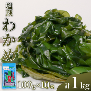 塩蔵わかめ 100g × 10パック 計1kg わかめ 海藻 海鮮 魚貝類 魚介類 小分け 個包装 みそ汁 スープ 酢の物 三陸産 岩手県 大船渡市