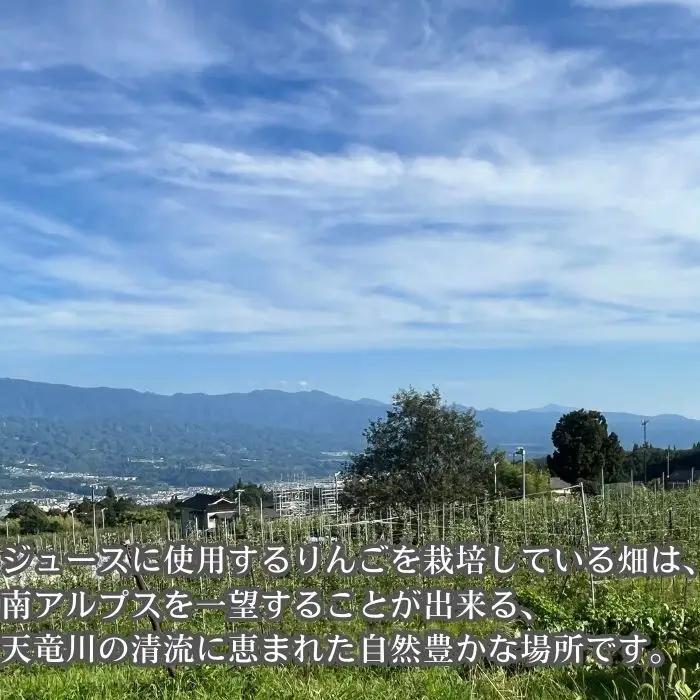 サンふじりんごジュース1L×2本