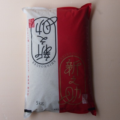 令和7年産 新之助5kg精米【1264917】