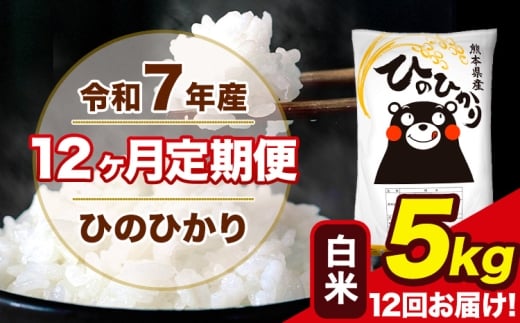 令和7年産 【12ヶ月定期便】 ひのひかり 白米 5kg 5kg×1袋 計12回お届け 熊本県産 こめ コメ 白米 精米 荒尾市 ひの 米 定期 《お申込み翌月から出荷》