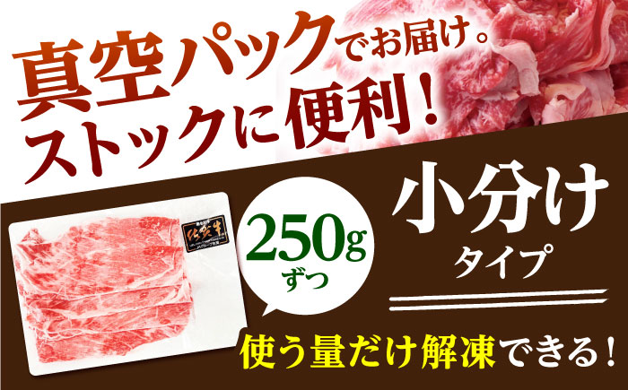 【全6回定期便】佐賀牛 切り落とし 1kg(250g×4p)【山下牛舎】 [HAD154]
