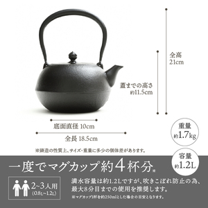 南部鉄器 鉄瓶 寒梅美肌鉄瓶 ～BIHADA～ 1.2L IH調理器 伝統工芸品 やかん ケトル キッチン用品 食器 日用品 雑貨 [BE002]