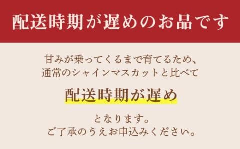 《先行予約》2024年 山形県 高畠町産 シャインマスカット 1.6kg( 2～3房) 2024年10月中旬から順次発送 ぶどう ブドウ 葡萄 F20B-735