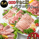 【ふるさと納税】都城産「きなこ豚」バラエティセット - ブランド豚 豚肉 豚肩ロース 豚バラしゃぶしゃぶ肉 ロース生姜焼き ヒレカツ ウデ・モモ小間切れ 豚しゃぶ 送料無料 MJ-1205【宮崎県都城市は2年連続ふるさと納税日本一！】