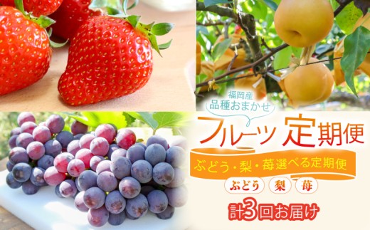 フルーツ 定期便 3回 ( あまおう ぶどう 梨 ) 苺 あまおう 約560g ぶどう 2kg 梨 5kg 選べる回数 福岡県産 あまおう 葡萄 巨峰 梨 豊水 なし 果物 定期便 予約販売 予約受付 数量限定 福岡県 川崎町