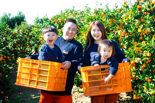 【太陽をたっぷり浴びた】ブラッドオレンジ(タロッコ)【極】3kg【D49-87】【1621799】 YWTZ072