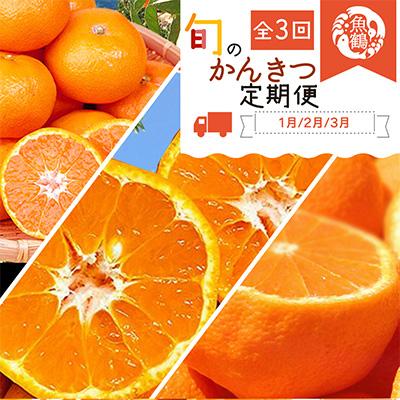 ふるさと納税 日高川町 【発送月固定定期便】紀州和歌山産旬のフルーツセット(みかん・不知火・せとか)全3回