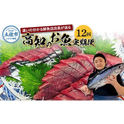 ふるさと納税 土佐市 【毎月定期便】違いの分かる鮮魚店店長おすすめ　高知のお魚定期便!! 全12回
