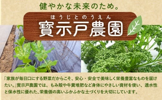 パセリのドレッシング150g×3本入り