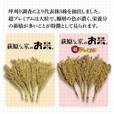 ふるさと納税 御代田町 令和7年産　荻原くん家のお米超プレミアム(白米) 2kg |  | 01