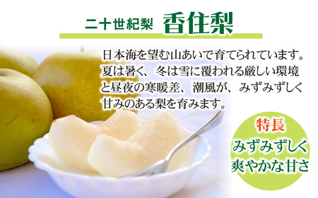 兵庫県香美町産梨を100%使用！香住梨ジェラート 8個 / ジェラート