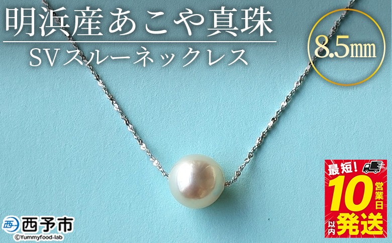 
                  ＜明浜産あこや真珠8.5mm SVスルーネックレス＞『最短10営業日以内発送予定』アコヤ真珠 パール ジュエリー アクセサリー プレゼント ギフト 贈答 記念日 品質保証書付き シルバー ナチュラルカラー シンプル 45cm PRAY akoyapearl 愛媛県 西予市【常温】
                