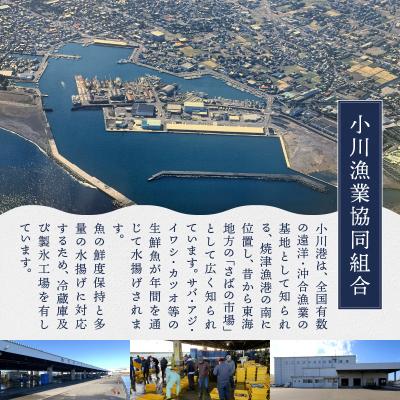 ふるさと納税 焼津市 さば チキン 塩味 蒸し済 骨なし 無添加 ヘルシー アレンジ 自在(a11-180) |  | 03