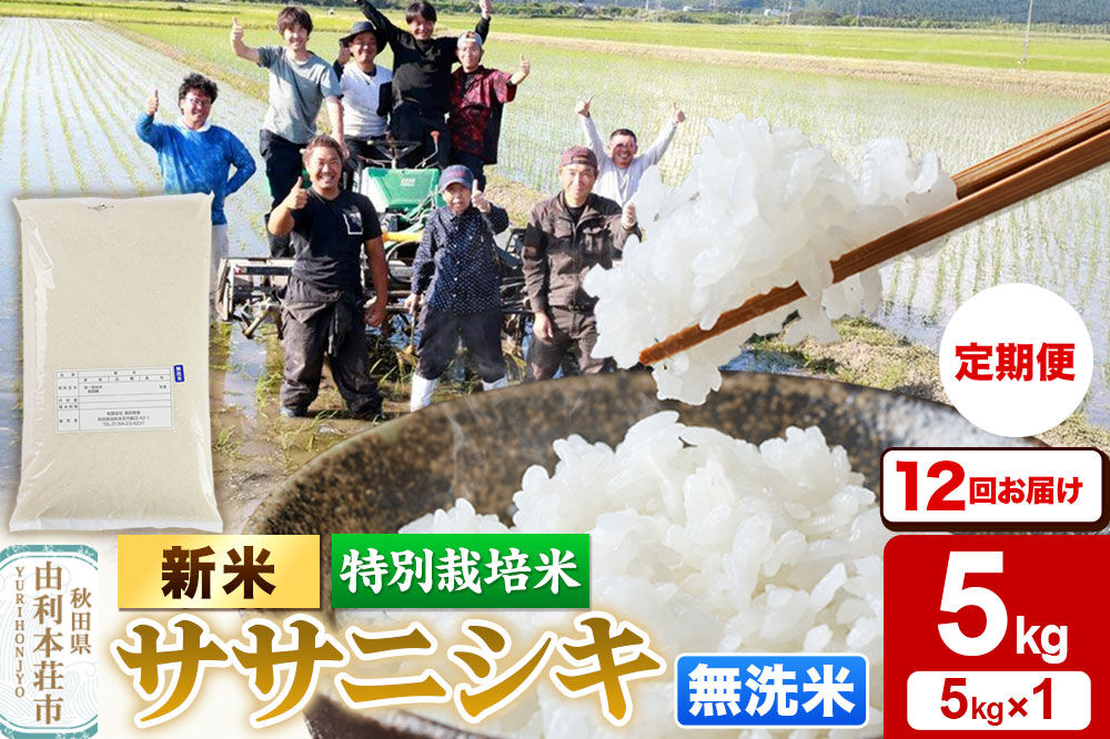 《令和8年産 新米》《定期便12ヶ月》【無洗米】特別栽培米 ササニシキ 5kg 秋田県産 [ササニシキ 新米 米 お米 こめ 無洗米 ブランド米 食卓 おにぎり 秋田県産 秋田]