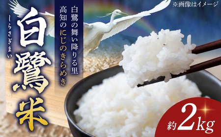 【先行予約】 農薬節減！ R7年度産 白鷺米 にじのきらめき 約2kg ＜2025年9月中旬から発送＞ / 高知 米 お米 精米　【津ノ宮農園】[ATBV003]