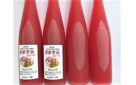 【２０２４年２月から発送】がまずみジュース（りんご入り）５００ｍｌ×４本　0075-2316