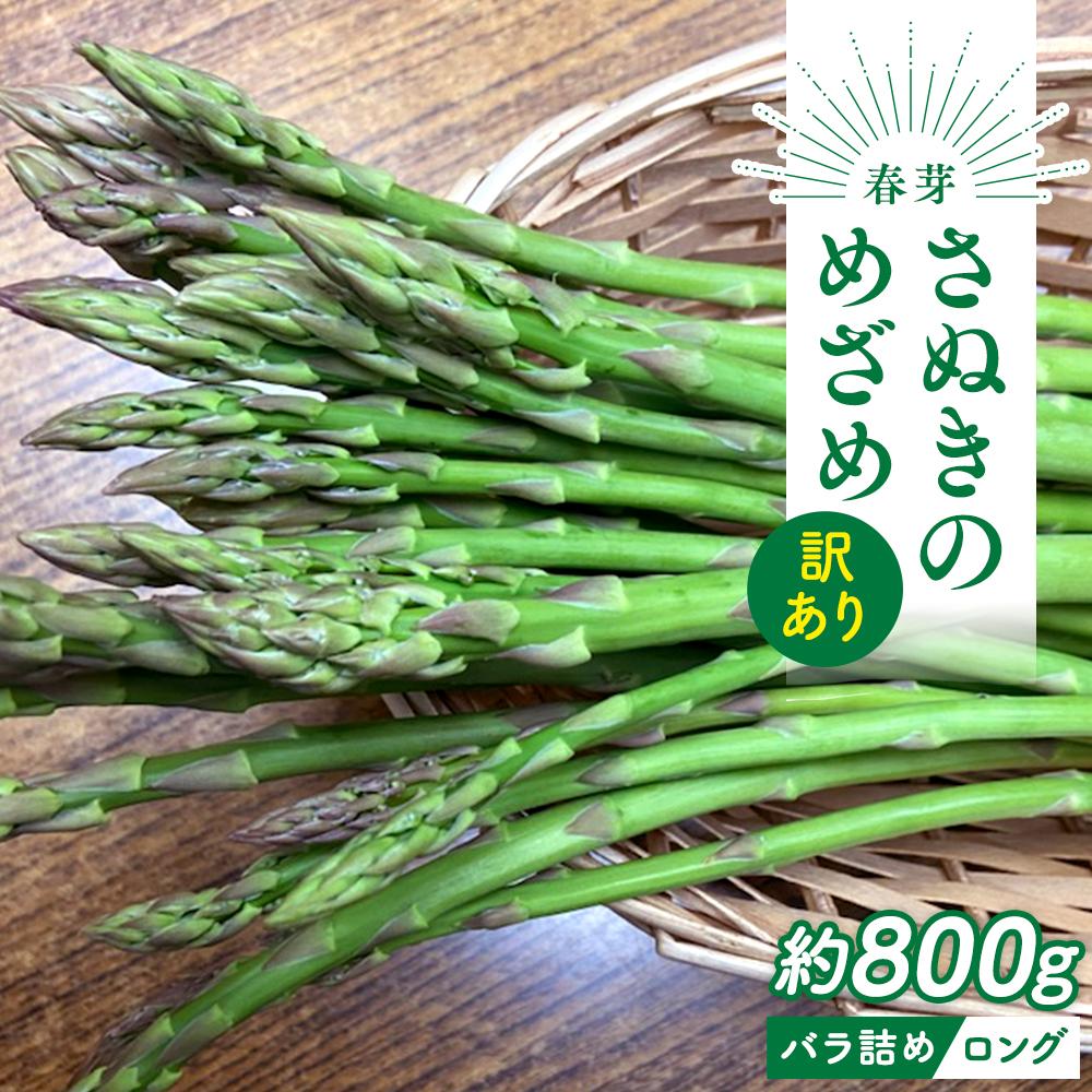 【ふるさと納税】訳あり アスパラガス ロング 約800g 春芽 さぬきのめざめ | 野菜 訳あり アスパラガス アスパラ グリーン お取り寄せ 送料無料 旬 期間限定