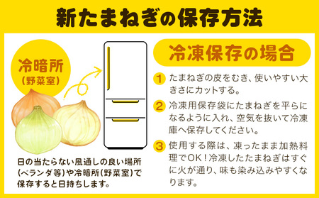 訳あり たまねぎ 新たまねぎ 新 玉ねぎ 紀の川市産 約10kg 不選別《5月下旬-7月中旬頃出荷》和歌山県 紀の川市 送料無料 野菜 玉葱 新玉ねぎ 新たま 旬 お取り寄せ 訳あり野菜