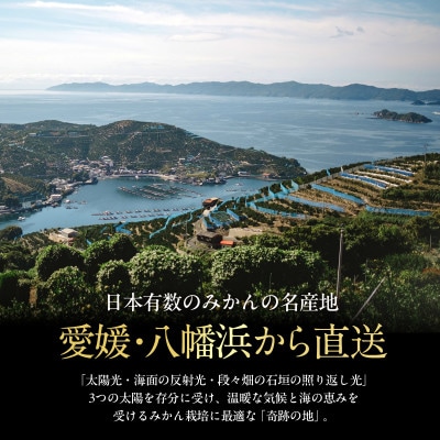 老舗農家が見極めたプレミアム【伊予柑5kg】【愛媛県川上産】【D70-95】【1671260】