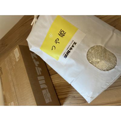 ふるさと納税 長井市 【令和7年産新米】早川ライスの山形県産「つや姫」精米5kg×1袋_A162(R7) |  | 01