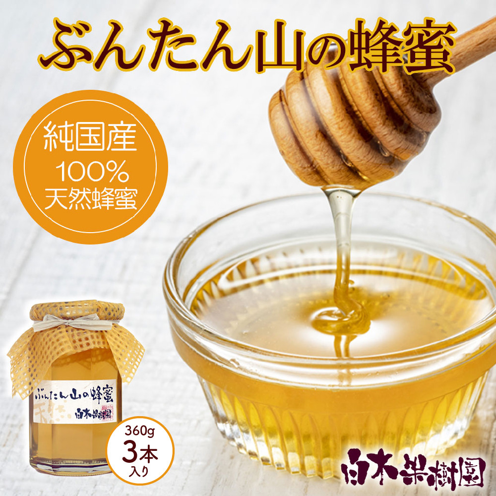 
爽やかな香り広がる100%天然蜂蜜 ぶんたん山の蜂蜜　360g 3本入り はちみつ ハチミツ 高知県産 国産 天然はちみつ 土佐 高知 【白木果樹園】
