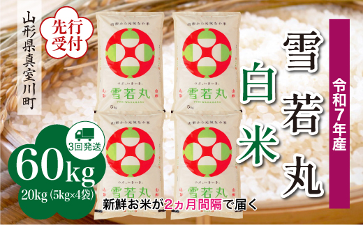 
            ＜令和7年産米先行受付＞ 真室川町産 雪若丸 【白米】 定期便 60kg （20kg×２ヶ月間隔で3回お届け）＜配送時期指定可＞
          